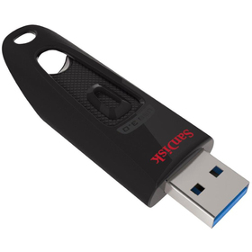 Flasch disk 256GB SANDISK